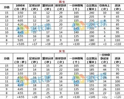 中考体育器材标准及要求解析，中考体育考试器材明细