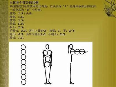 绘制园体育器材线条图示制作步骤，体育器材怎么画的简体画